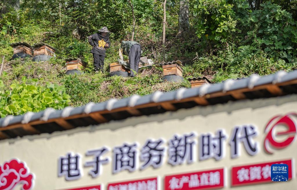 百家乐长龙打法